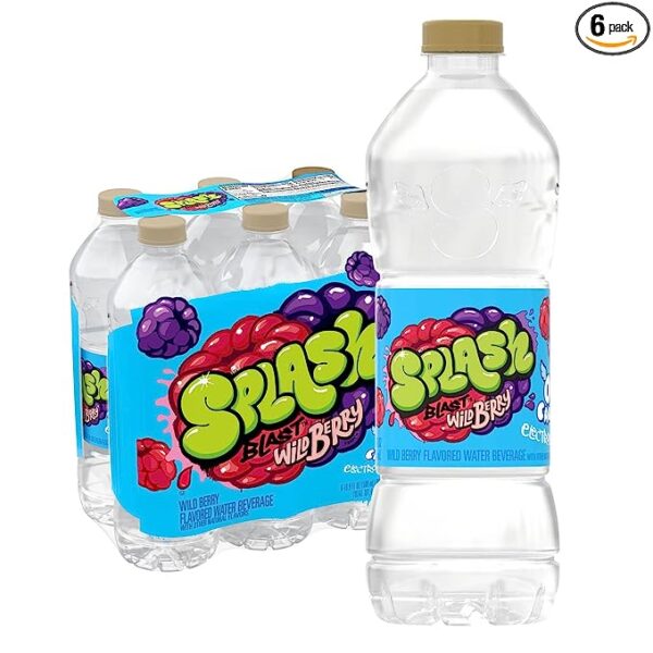 Splash Blast, Flavored Water Beverage, Wild Berry Flavor, 16.9 Fl Oz Plastic Bottles, 6 Pack